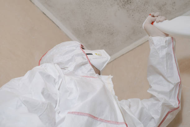 Best Mold Testing  in Barbourmeade, KY